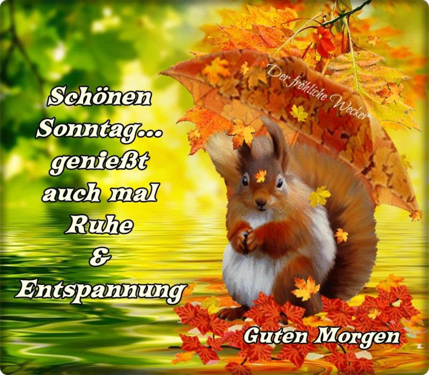 Sonntag whatsapp schönen Sonntag Whatsapp