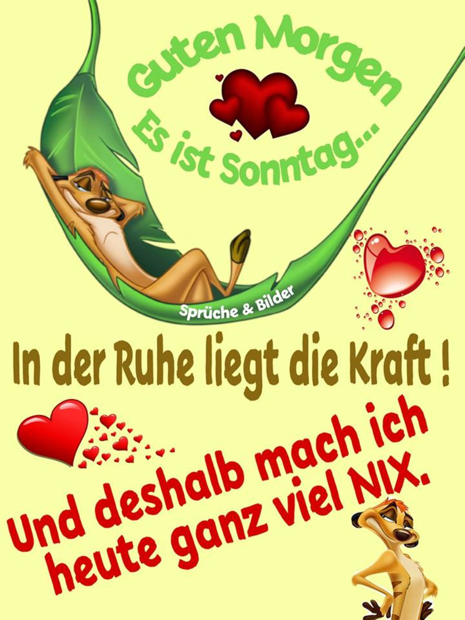 Schönen Sonntag bilder für WhatsApp 257