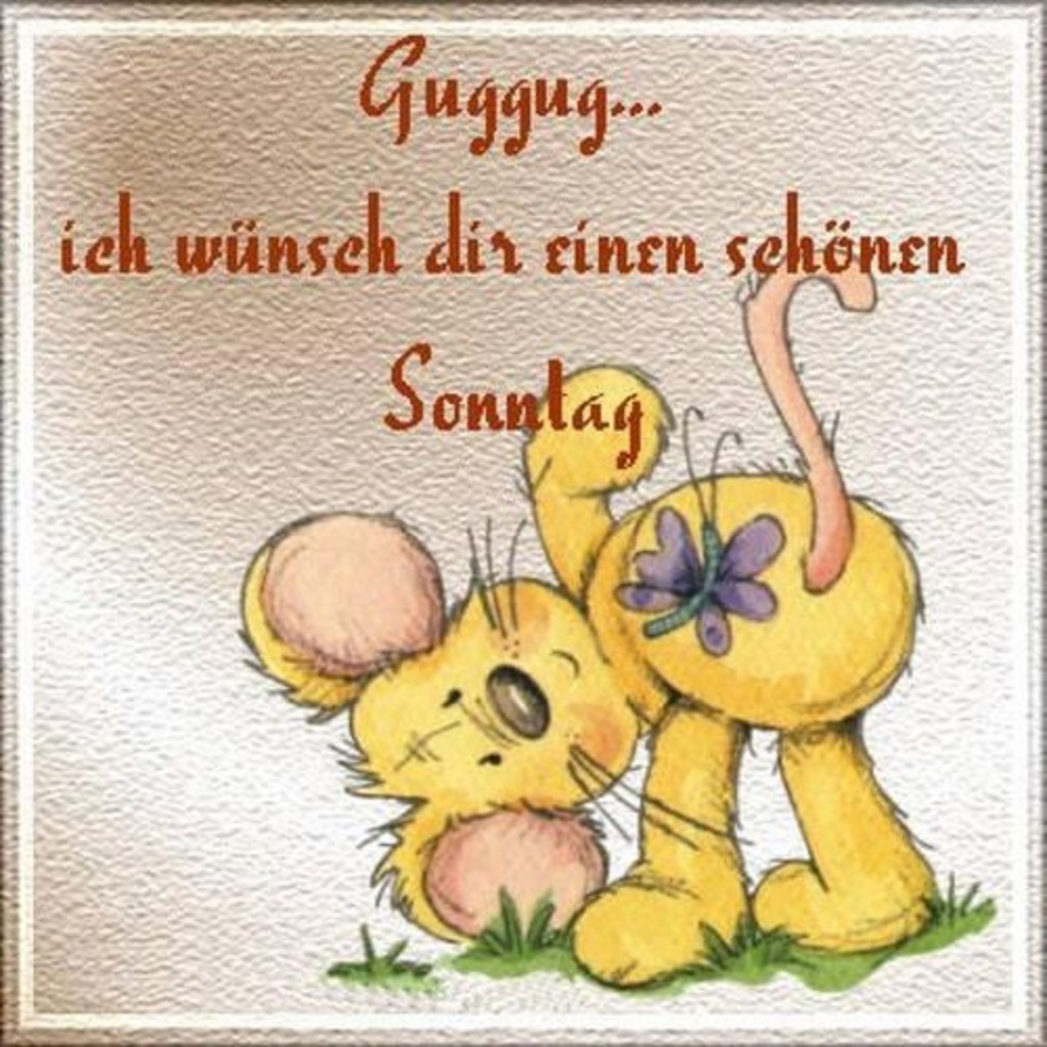 Jappy bilder guten morgen