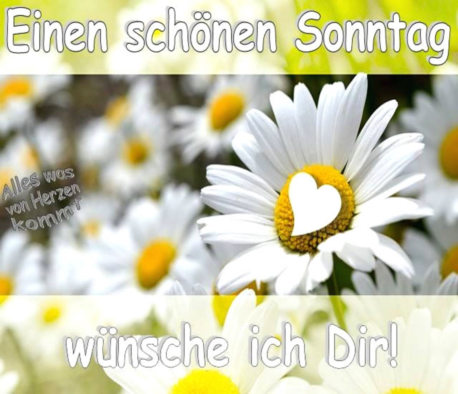 Schönen Sonntag bilder jappy 70