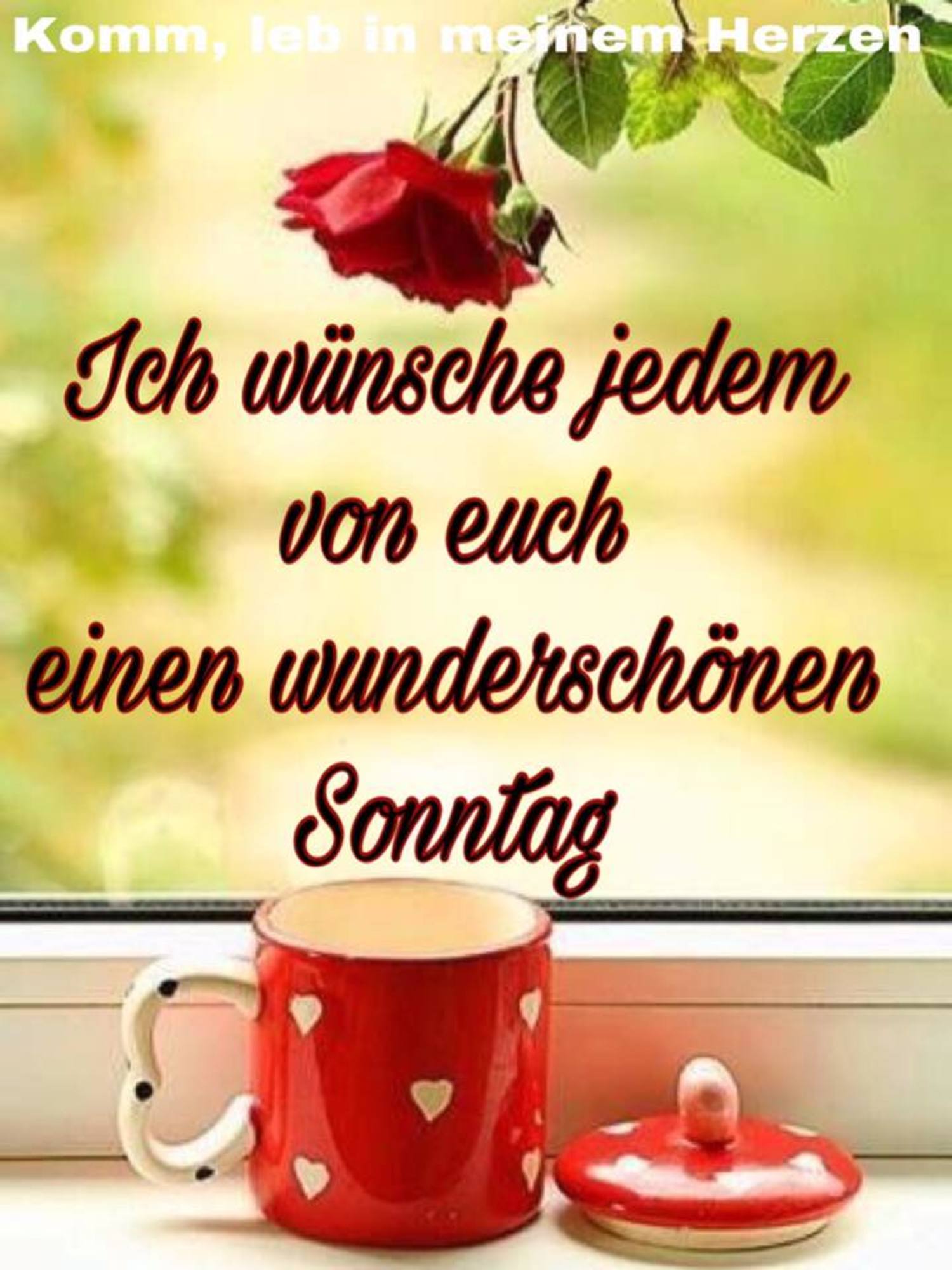 Schönen Sonntag euch allen 292