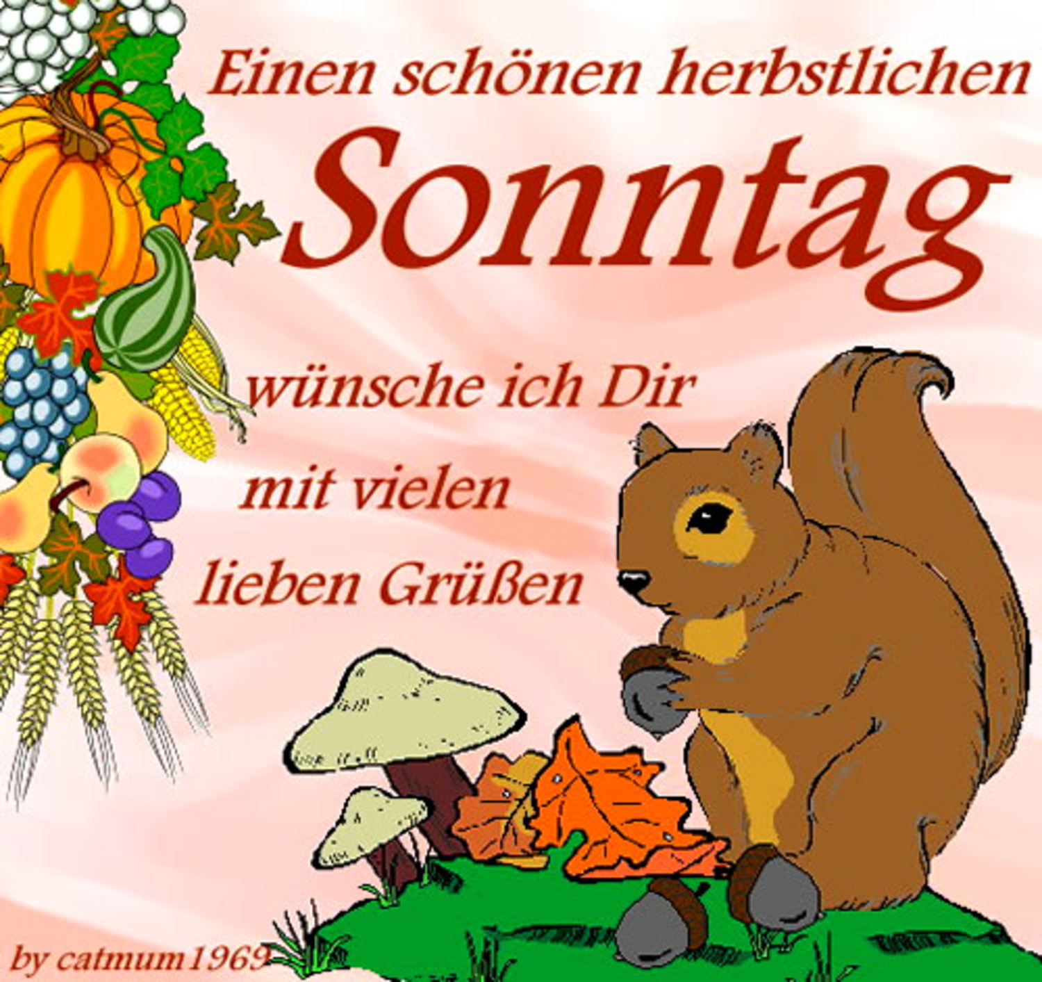 Schönen Sonntag freunde bilder 313