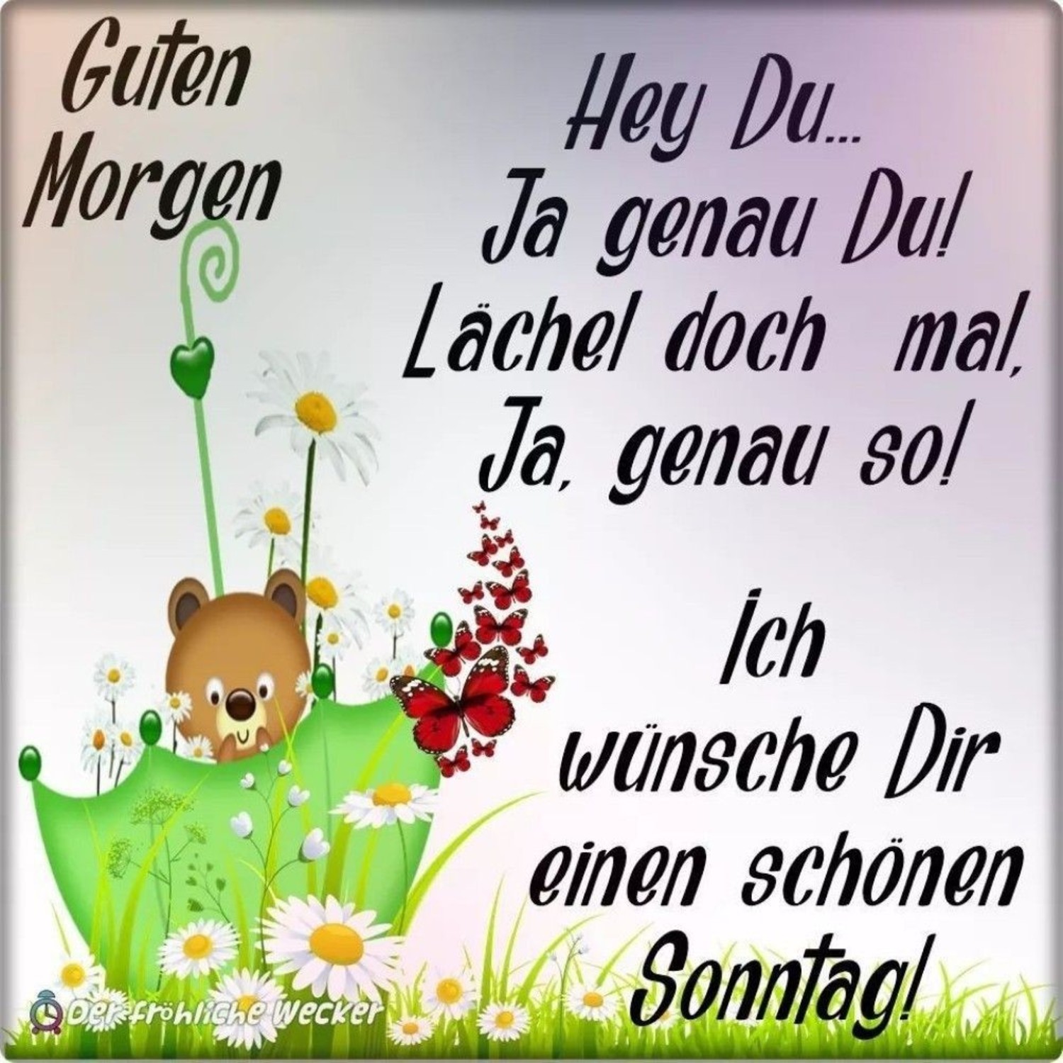 Sch nen Sonntag F r WhatsApp GBPicsBilder