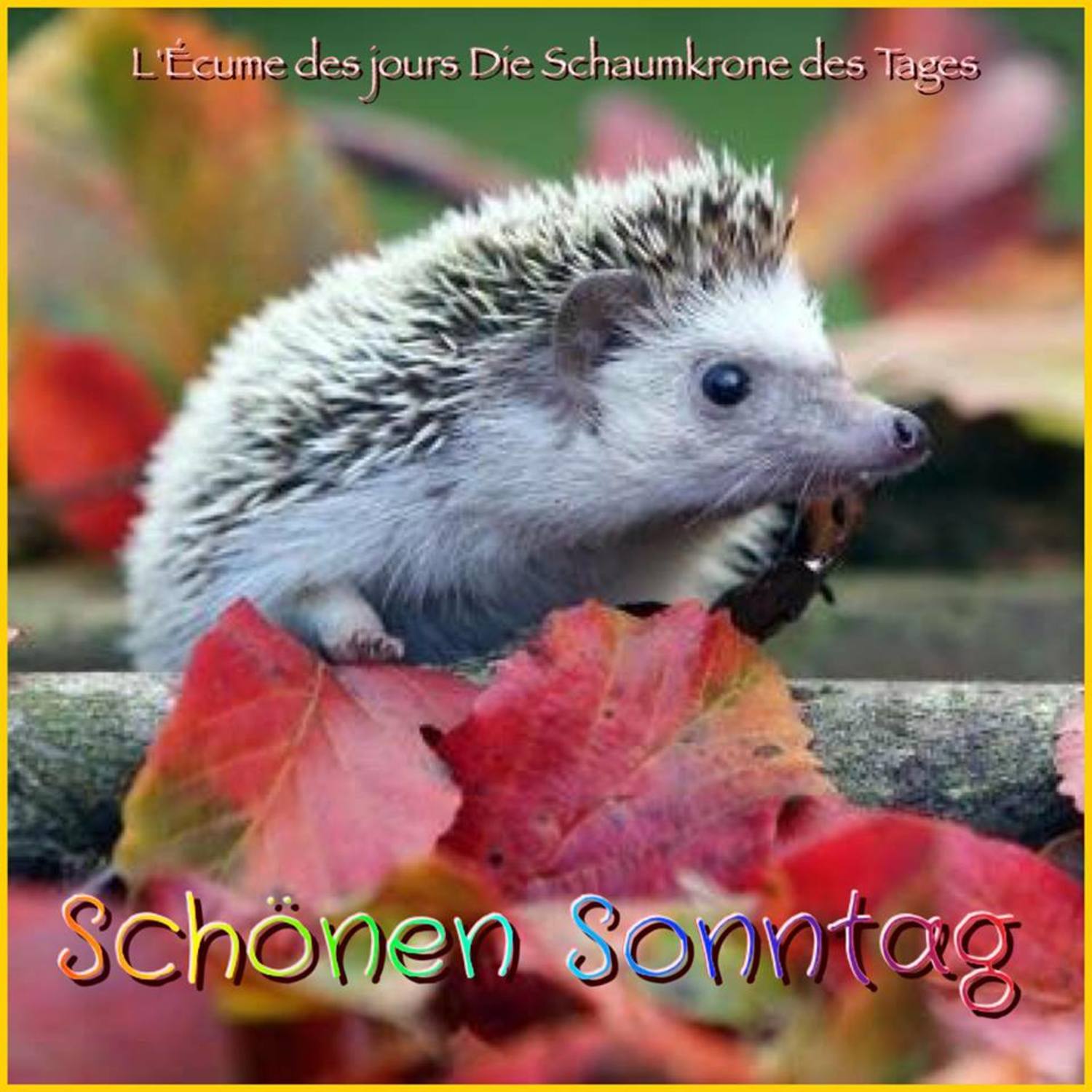 Schönen Sonntag gruß bilder 61