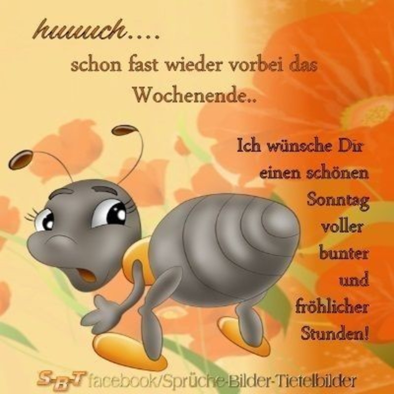 Abend sprüche kostenlos guten bilder Lustige Guten