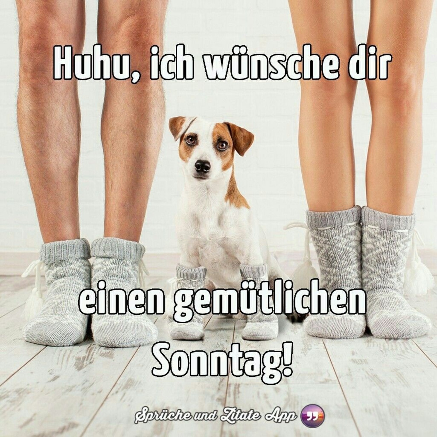 Schönen Sonntag hunde bilder 139