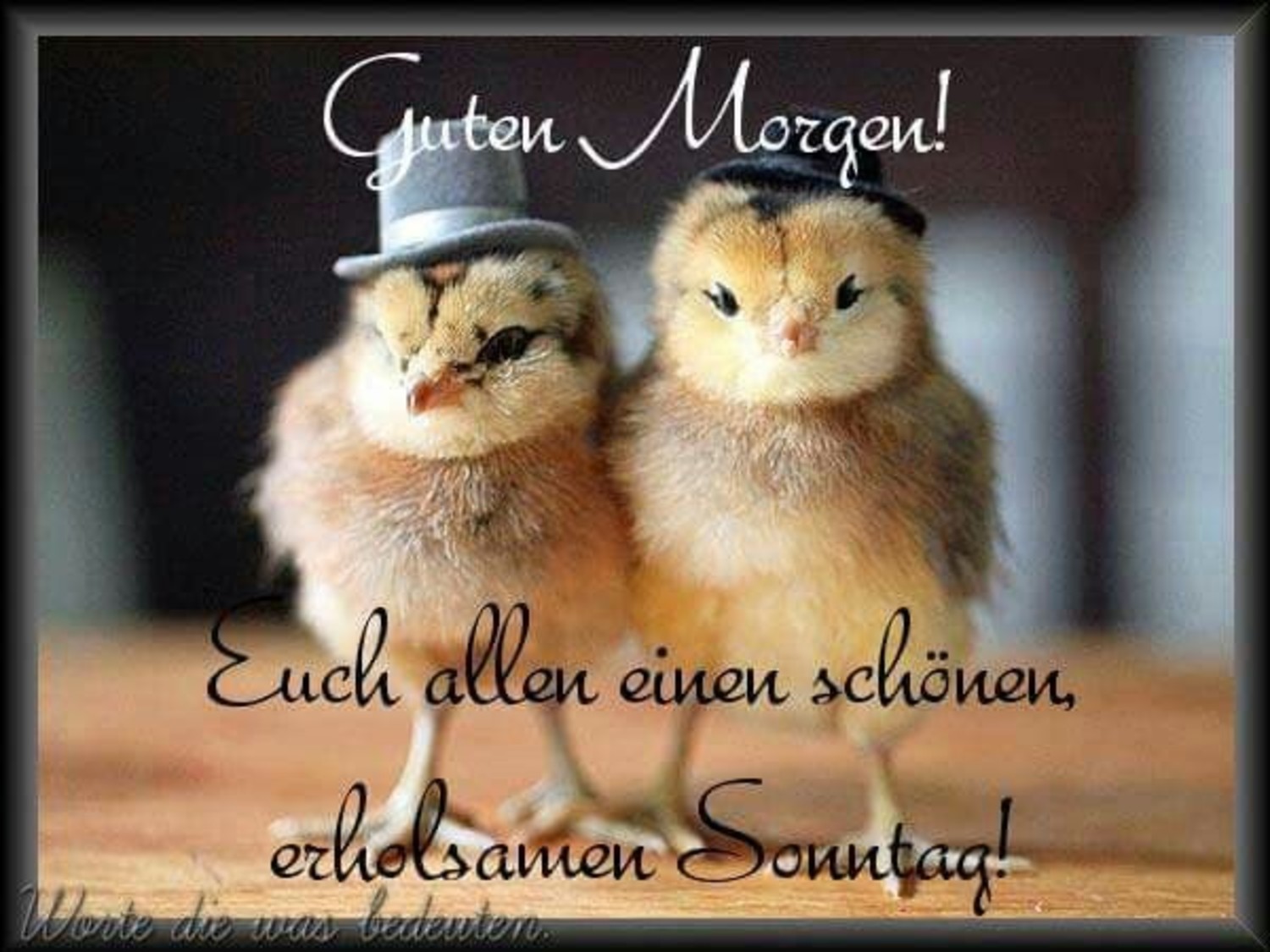 Schönen Sonntag kuss 83