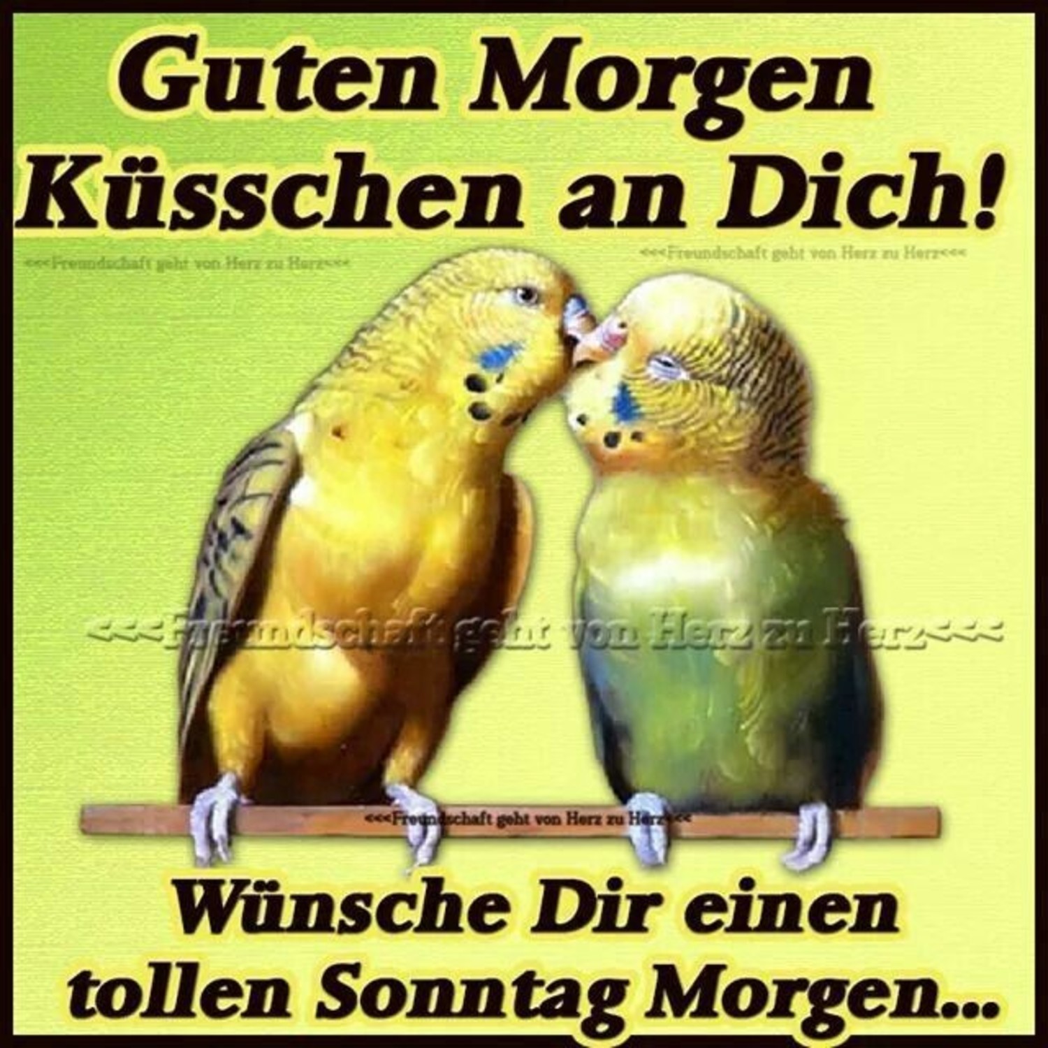 Schönen Sonntag liebe 222