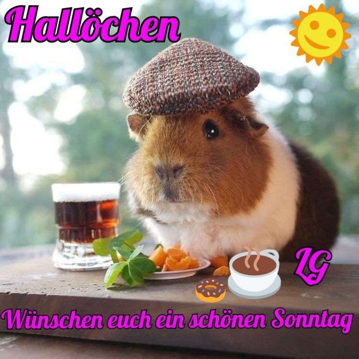 Schönen Sonntag lustige bilder 157