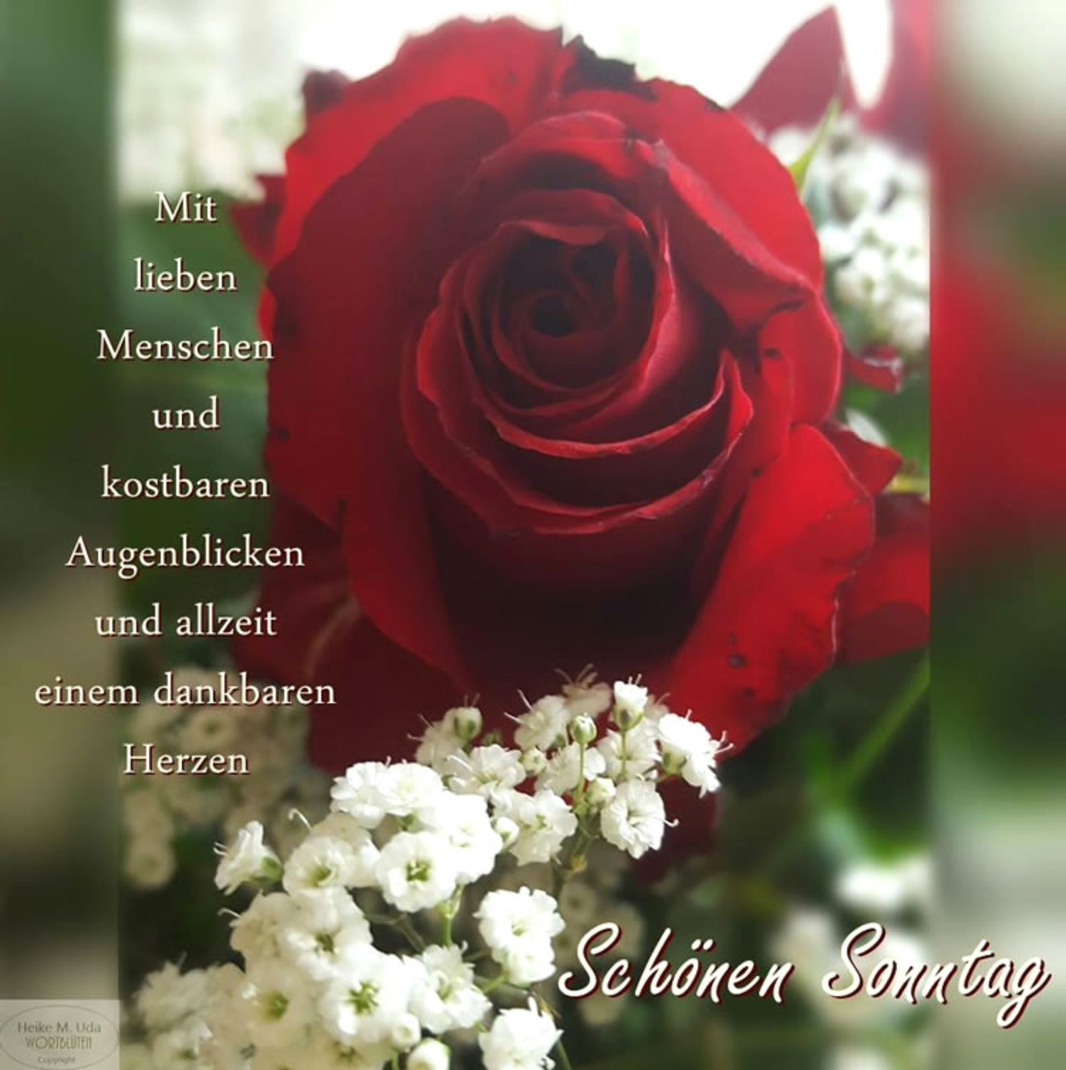 Schönen Sonntag meine liebe 161