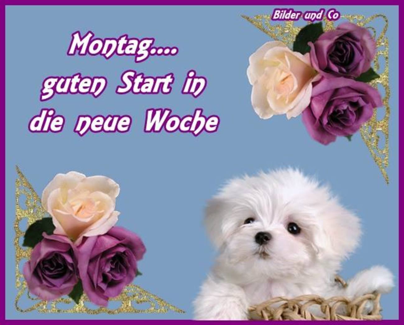 Schönen Wochenstart 195