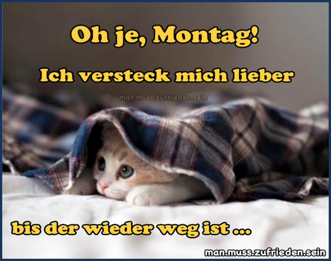 Schönen Wochenstart kostenlos bilder 202