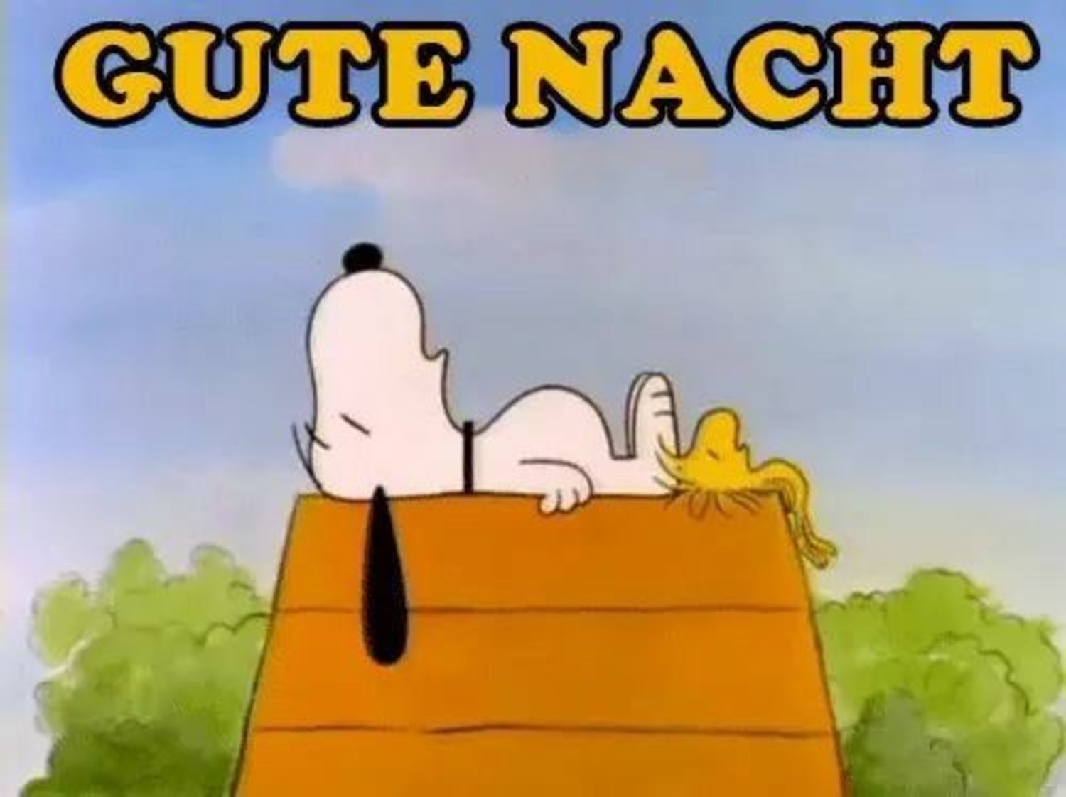 Snoopy bilder kostenlos Gute Nacht Facebook 627