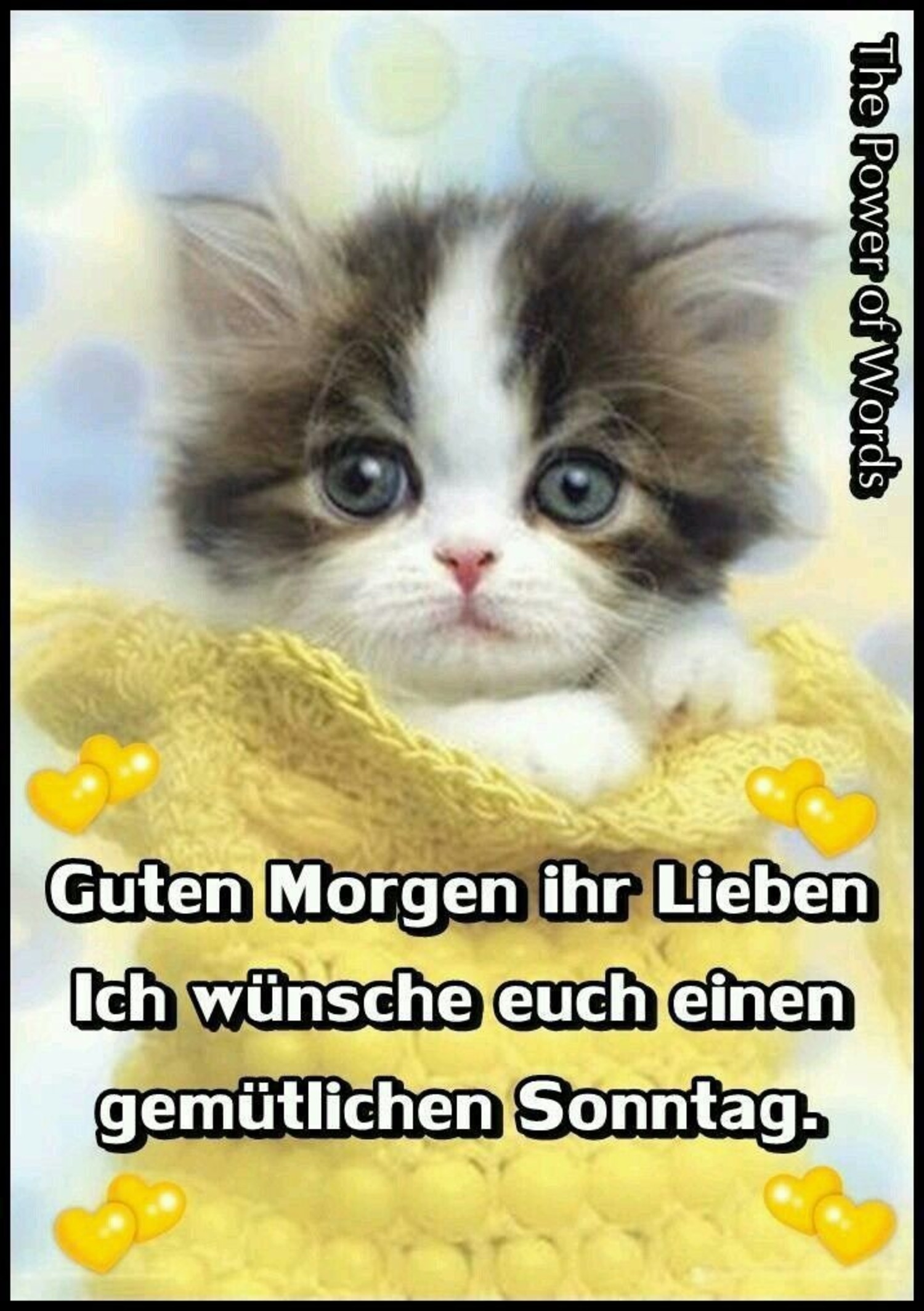 Sonntag bilder 11