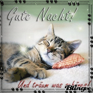 Sprüche GIF Gute Nacht 949 Archives
