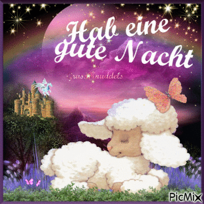 Sprüche GIF Gute Nacht 952