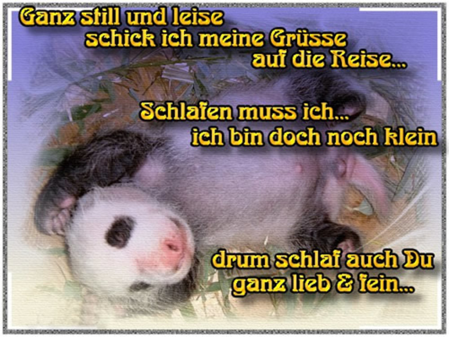Sprüche kostenlos Gute Nacht 536
