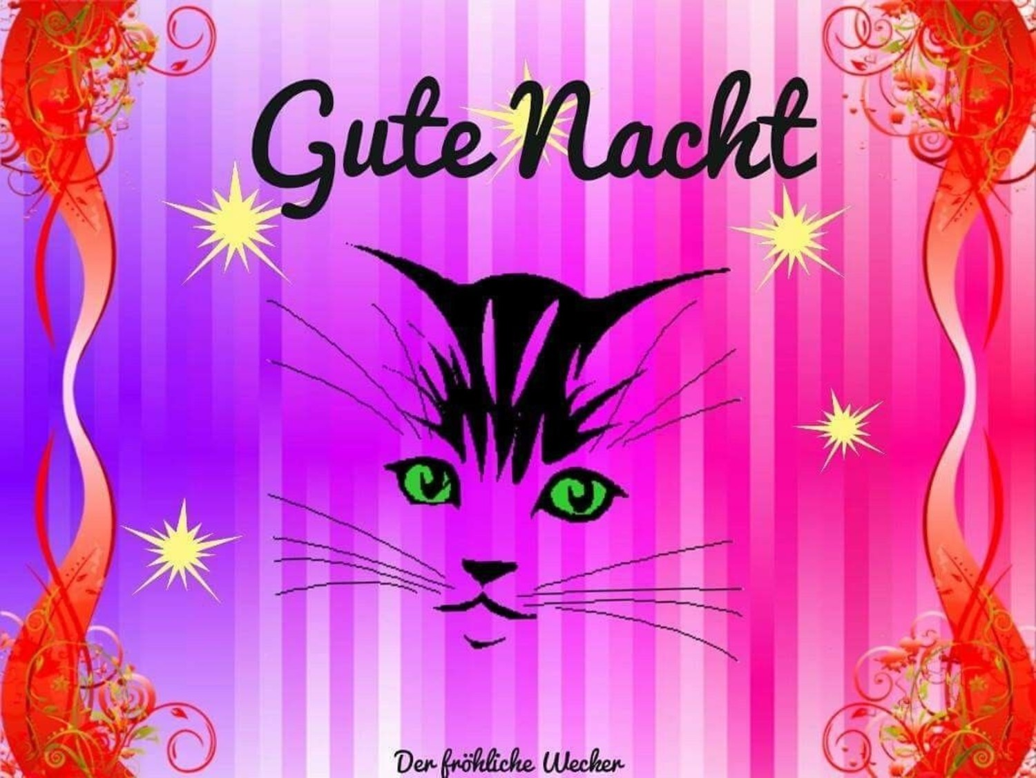 Sprüche kostenlos Gute Nacht 537