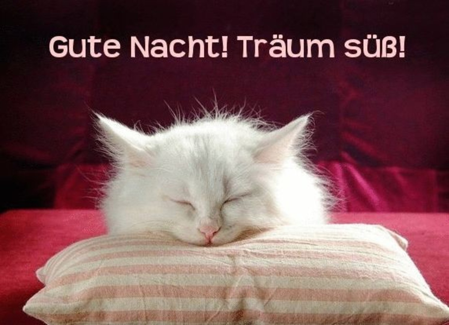 Süße Träume 605