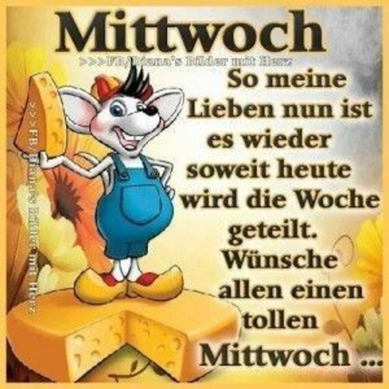 Wochenmitte 271