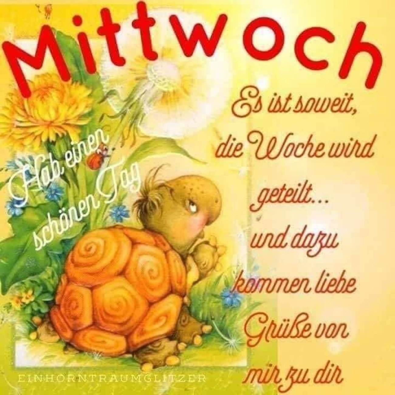 Wochenmitte Guten Tag bilder kostenlos 29