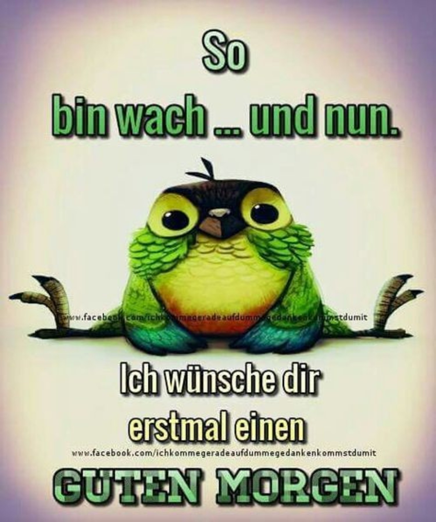 Zitate Guten Morgen 584