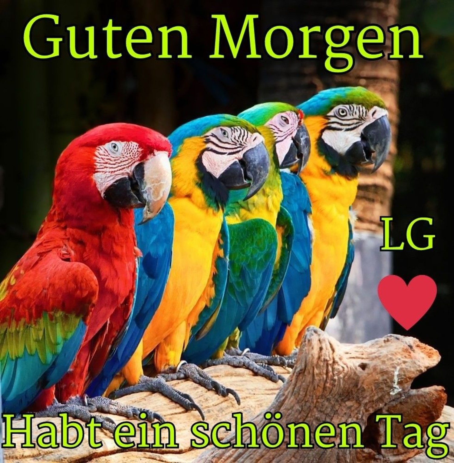 Zitate Guten Morgen 585