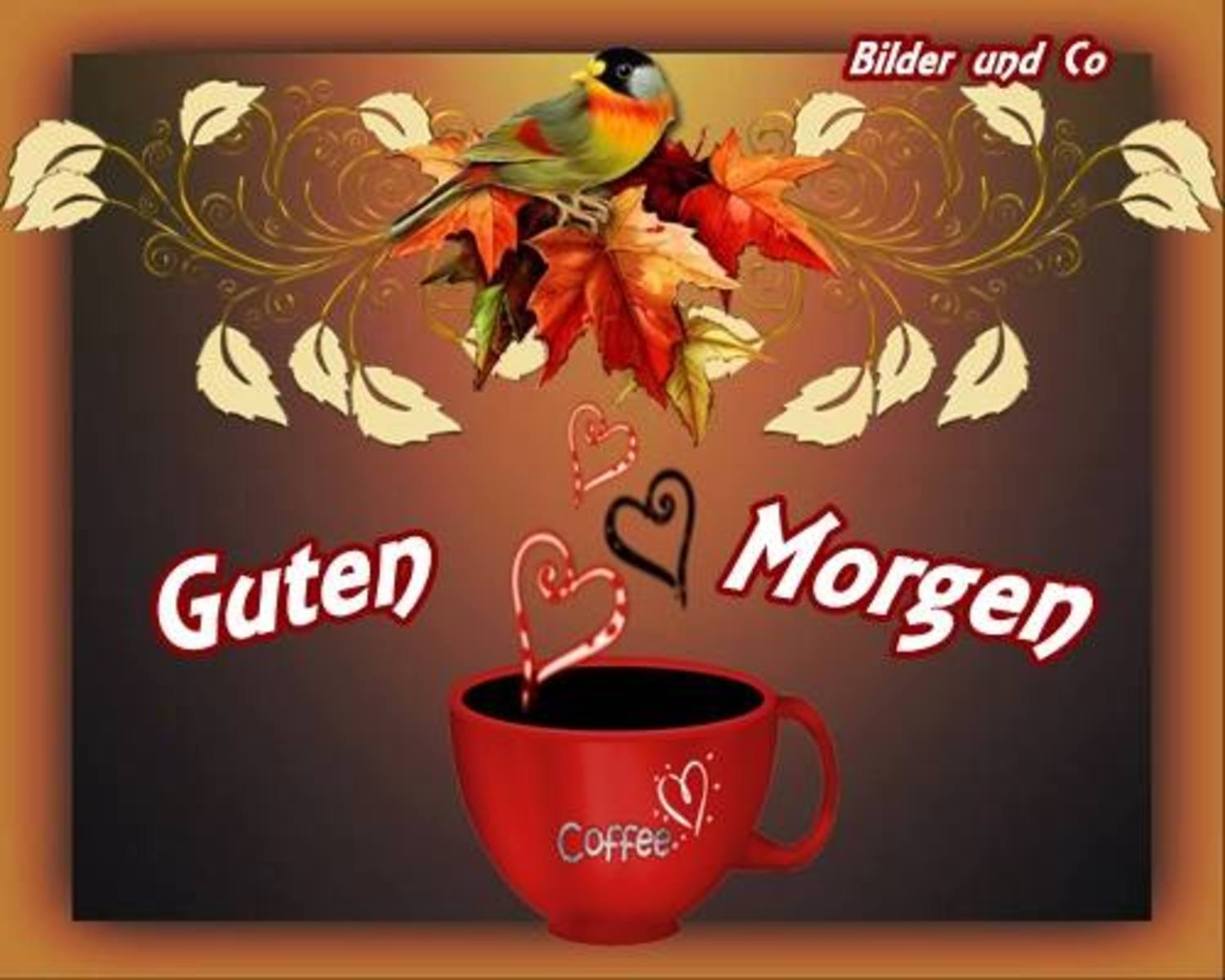 guten bilder für whatsapp 982