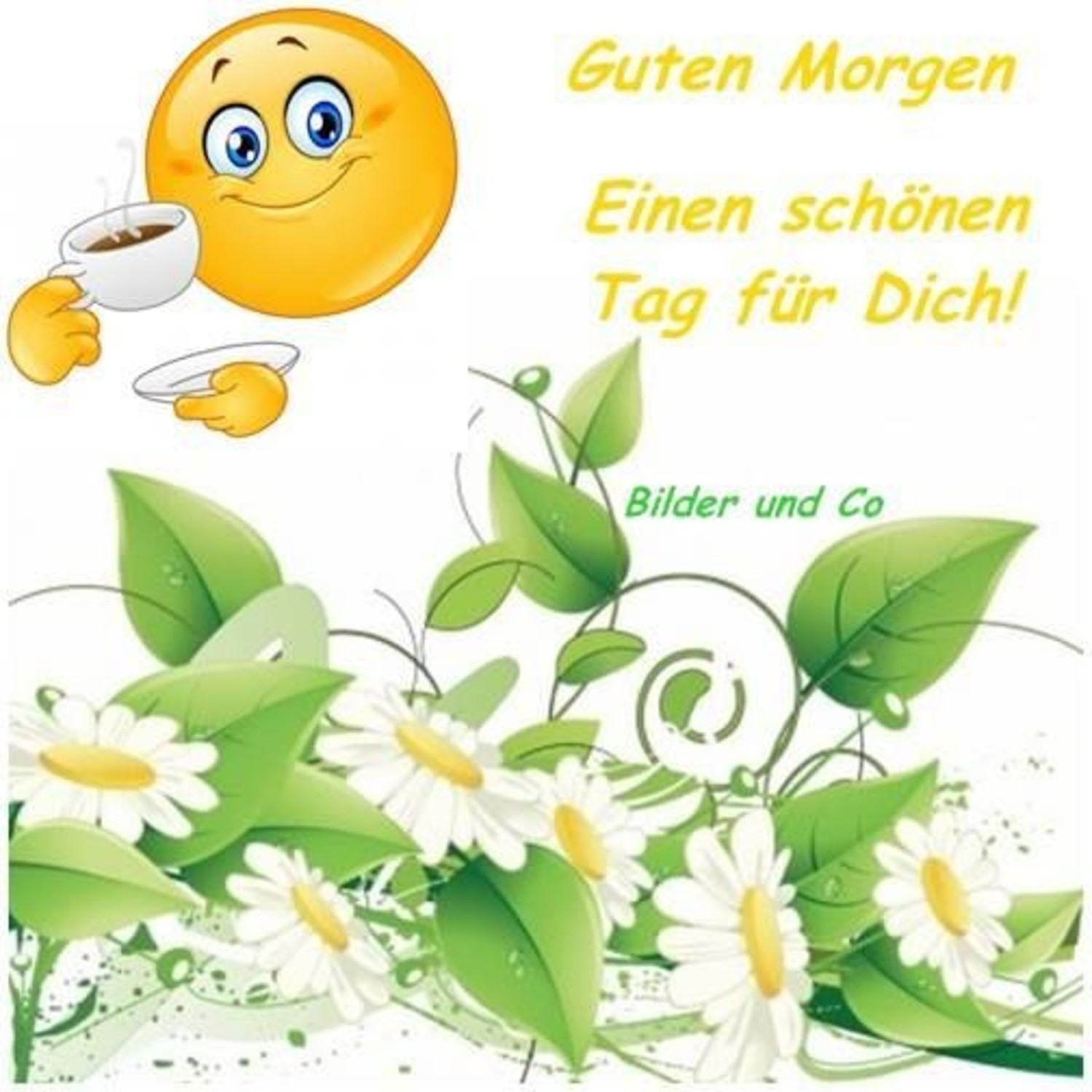 Whatsapp für guten morgen schöne bilder Schöne guten