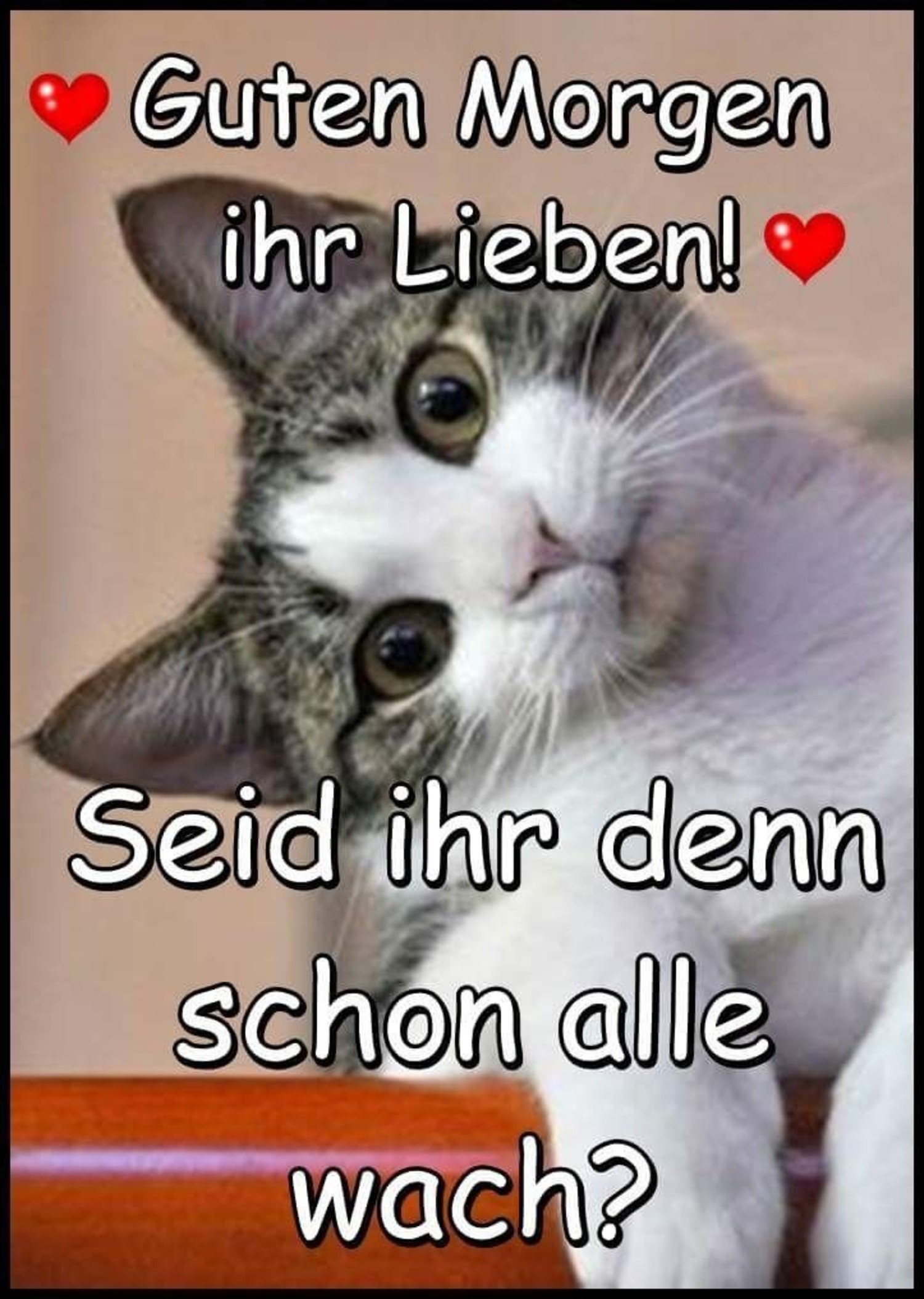 pics Einen wunderschönen guten Morgen 743