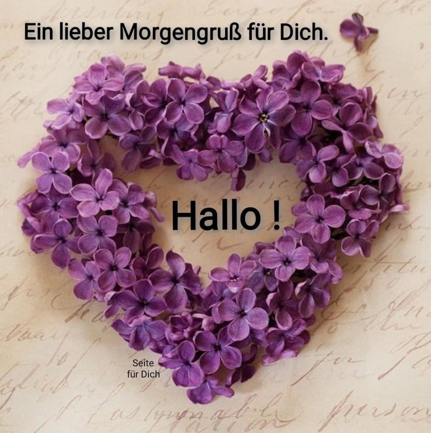 Ein lieber Morgengruß für dich Hallo