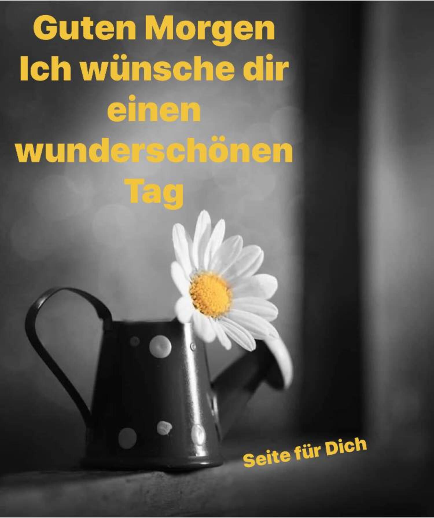 Guten Morgen ich wünsche dir einen wunderschönen tag