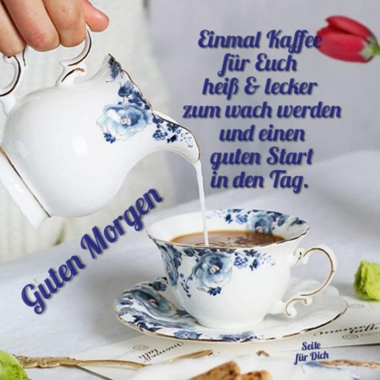 Neue zitate sprüche fur WhatsApp Web 5