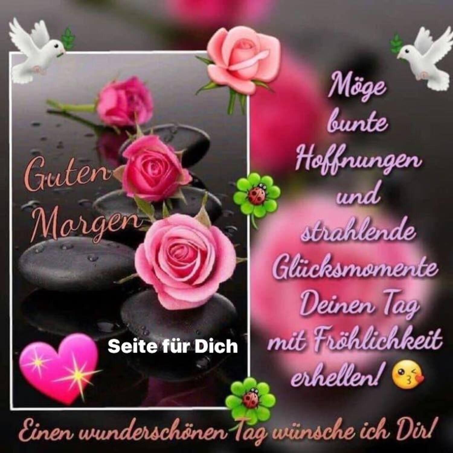 Neue zitate sprüche fur WhatsApp Web 7