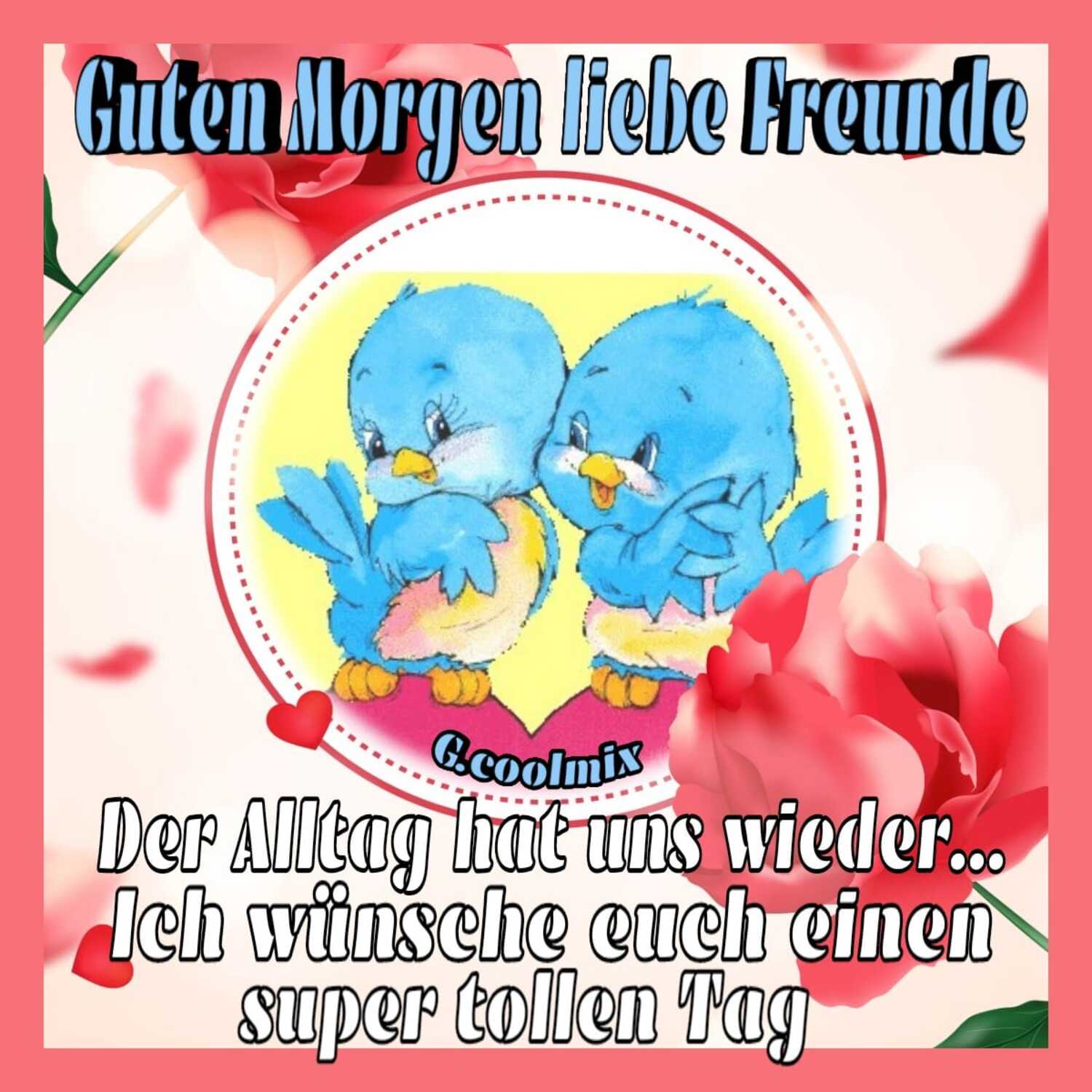 Neue zitate sprüche fur WhatsApp Web 8