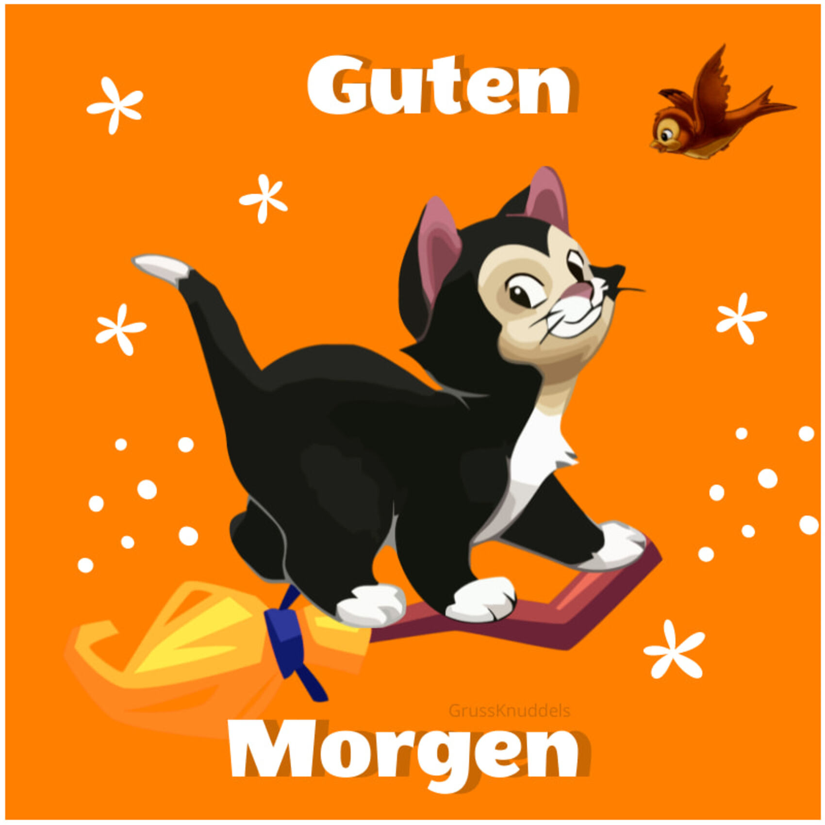 Guten Morgen katze