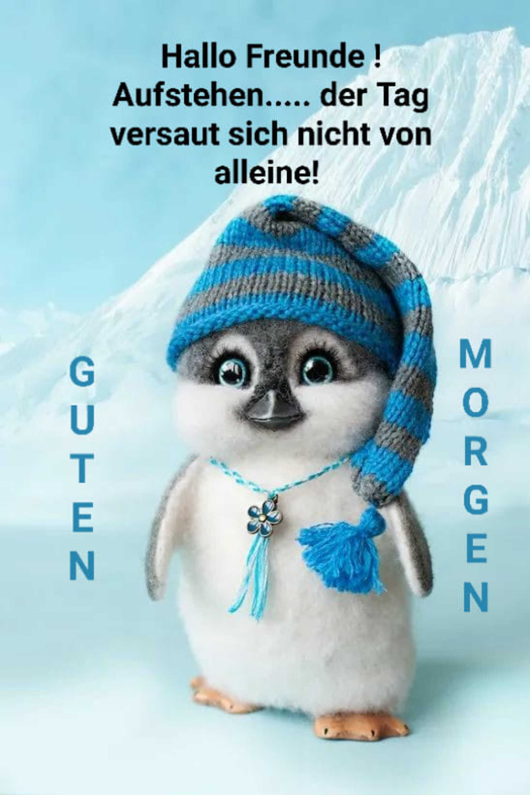 Hallo Freunde aufstehen der tag versaut sich nicht von alleine Guten Morgen
