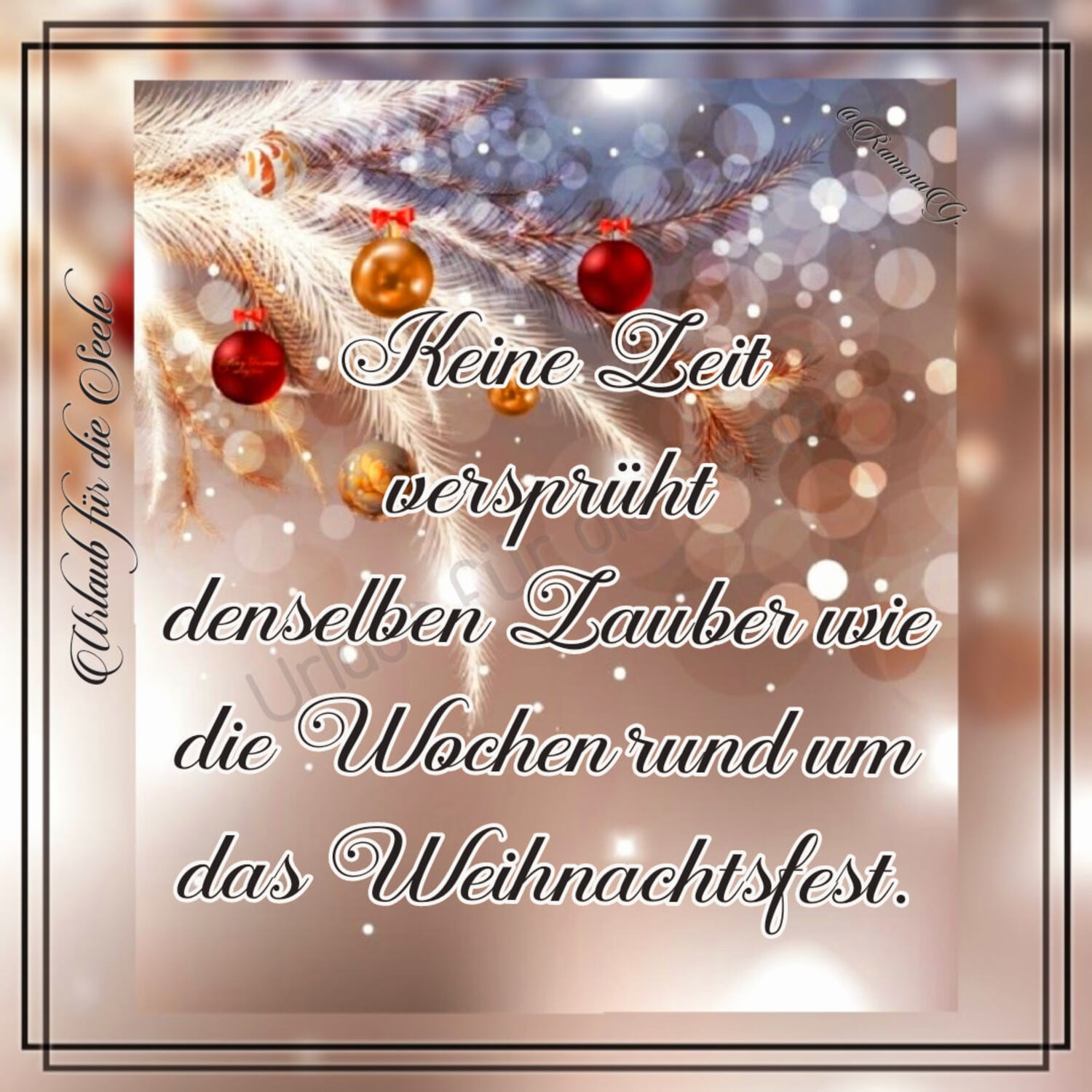 Bilder für WhatsApp Frohe Weihnachten (3)