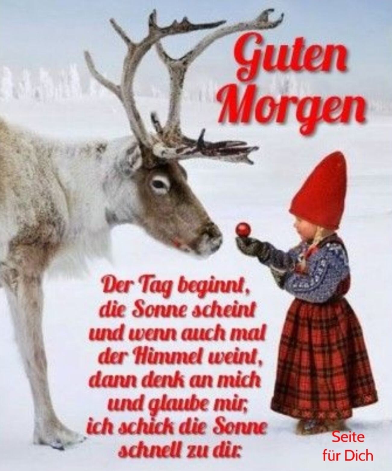 Bilder für guten morgen zu weihnachten (7)