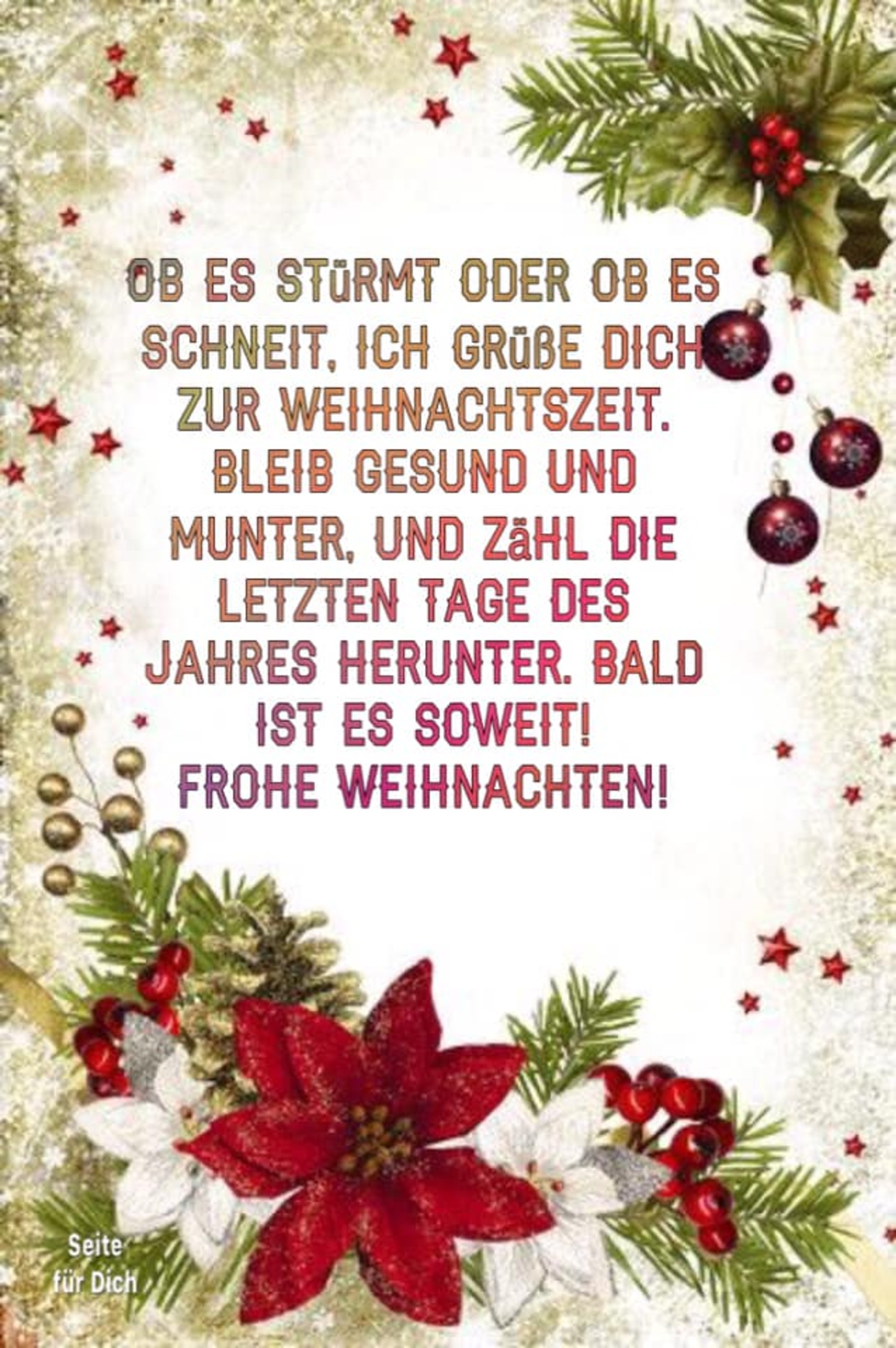 Frohe Weihnachten (5)