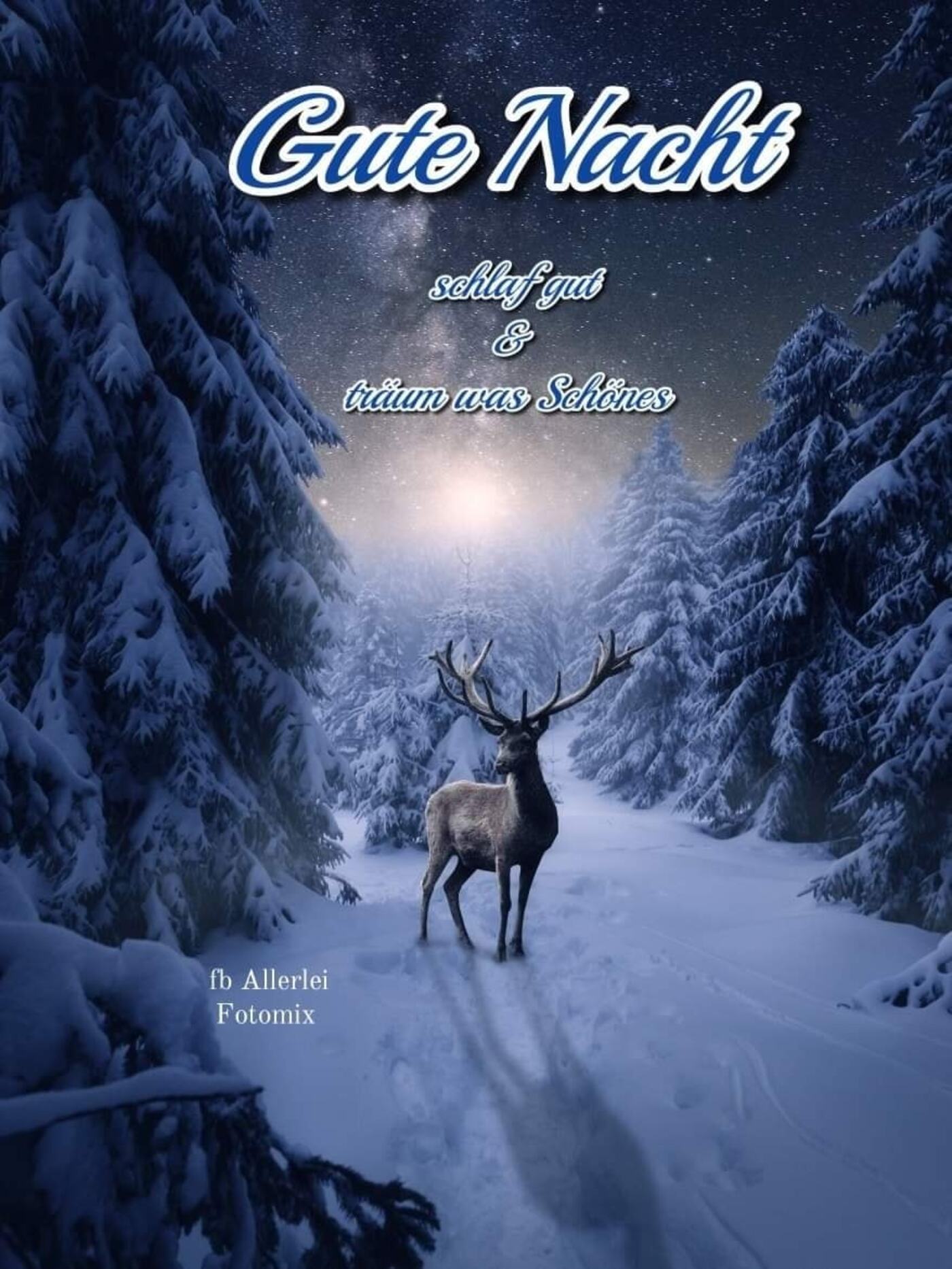 Gute Nacht Weihnachten (8) Archives - GBPicsBilder.com