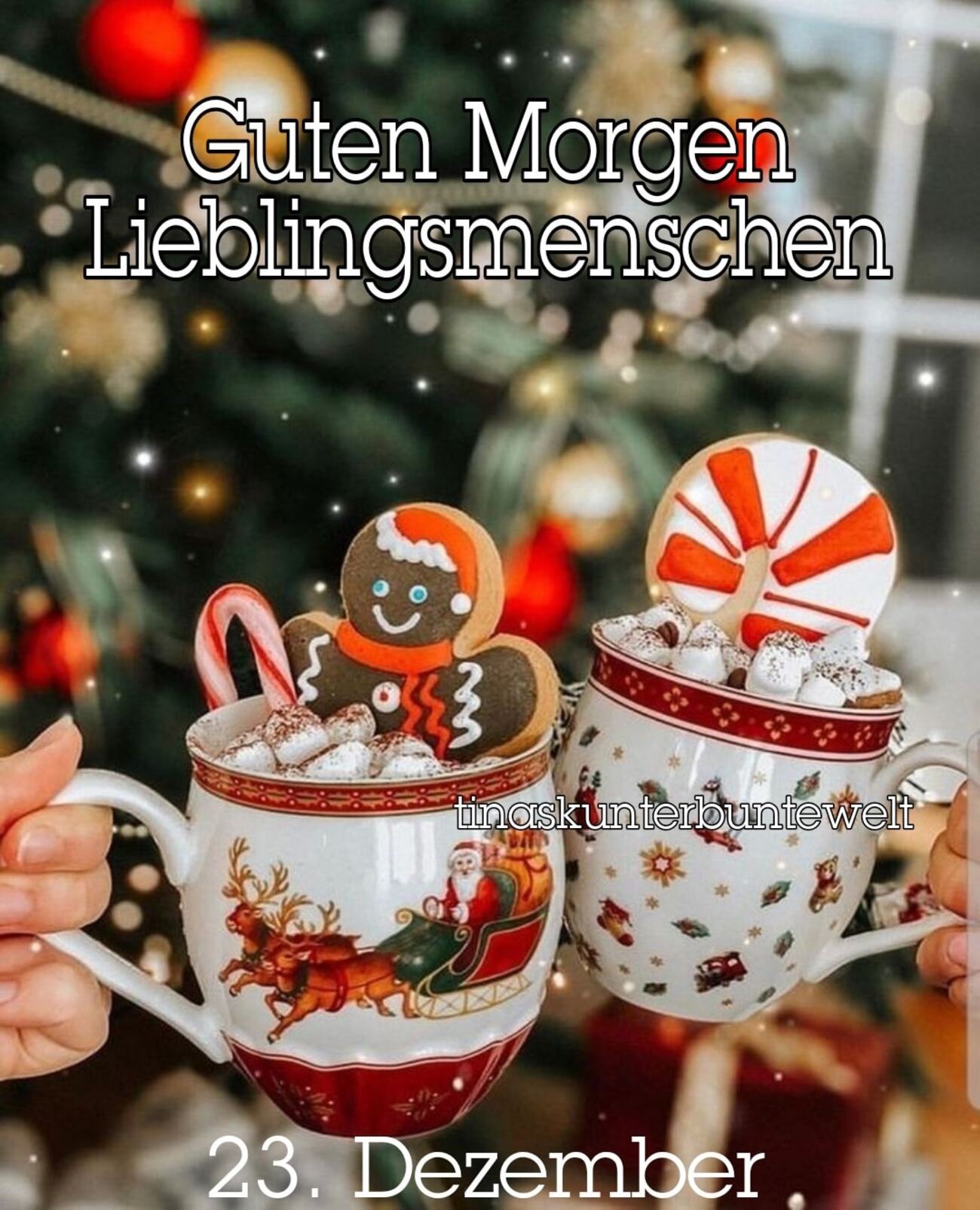 Guten Morgen Lieblingsmenschen 23 Dezember