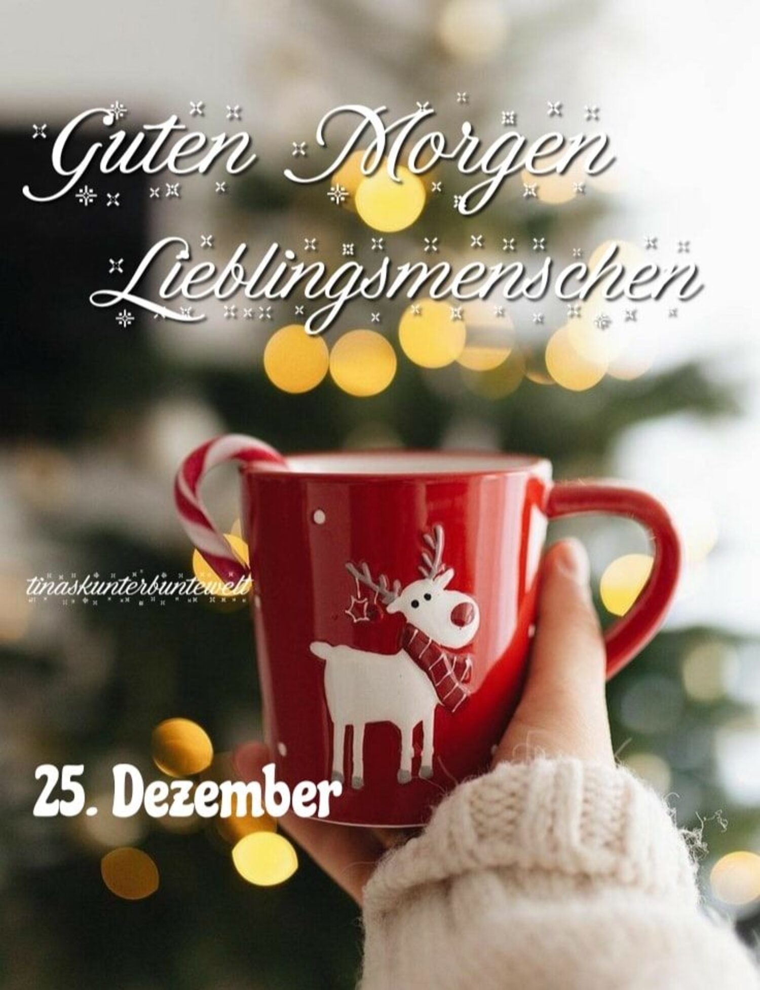 Guten Morgen Lieblingsmenschen 25 Dezember