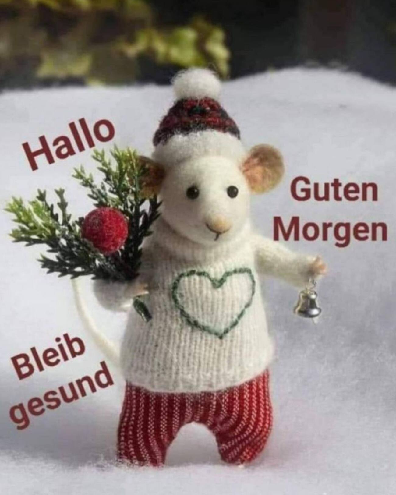 Hallo Guten Morgen Bleib gesund Weihnachten