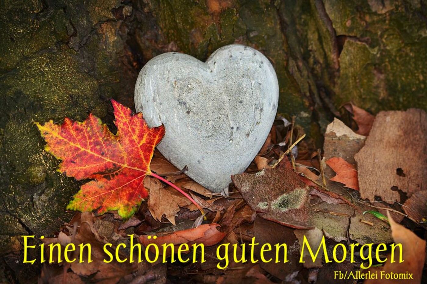 Einen schönen guten morgen bilder