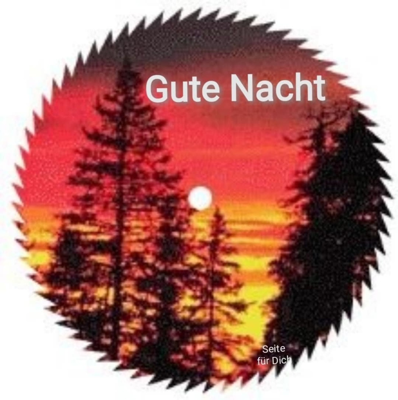 Gute Nacht Gute Nacht