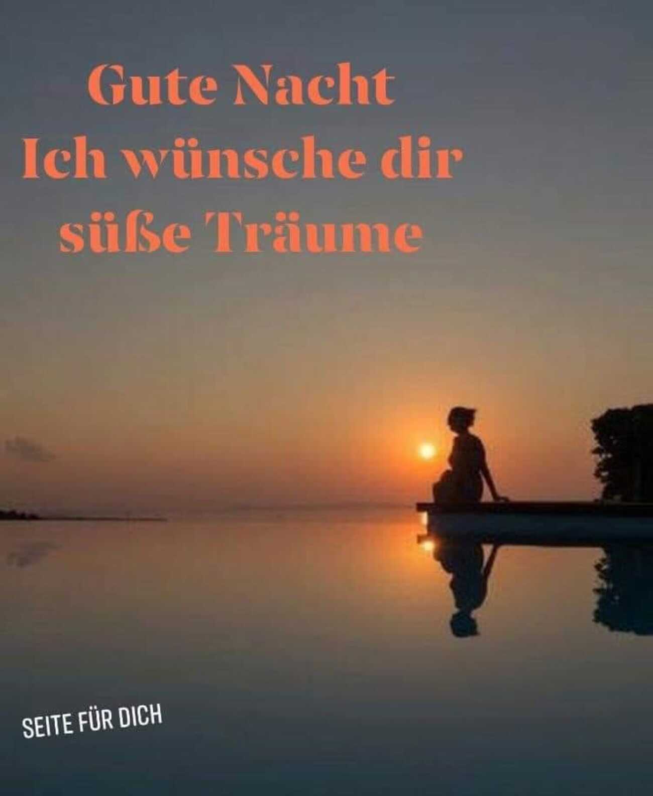 Gute Nacht ich wünsche dir süße Träume