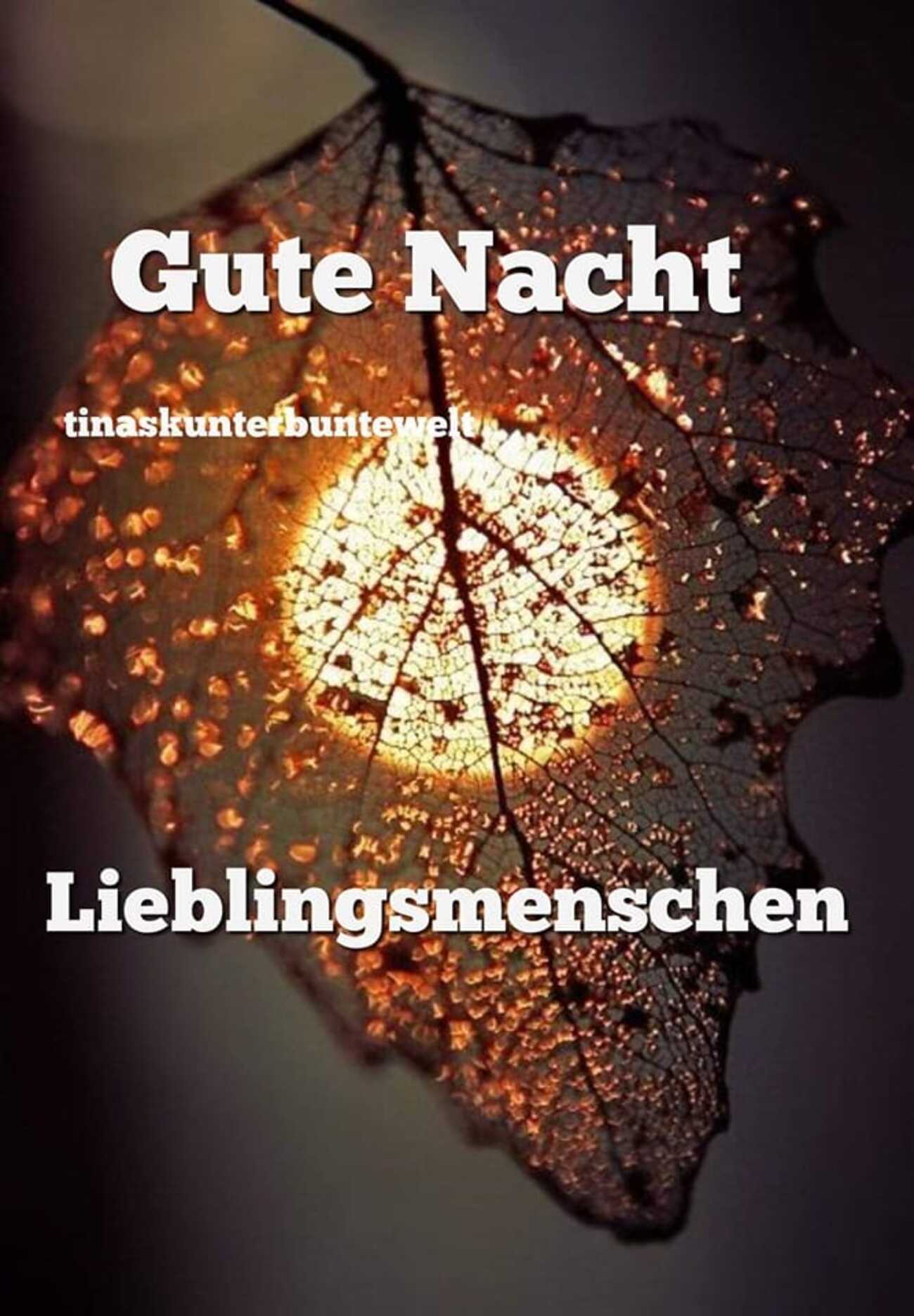 Gute Nacht lieblingsmenschen