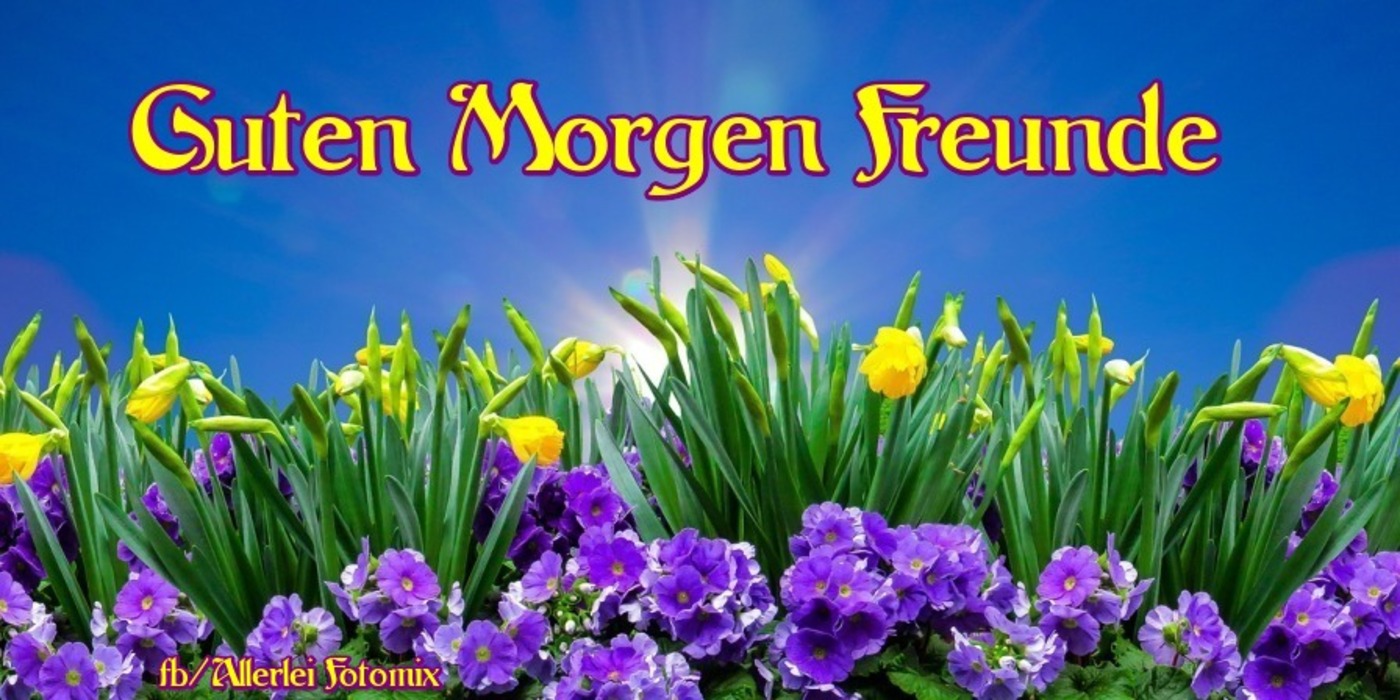 Guten Freunde bilder für WhatsApp