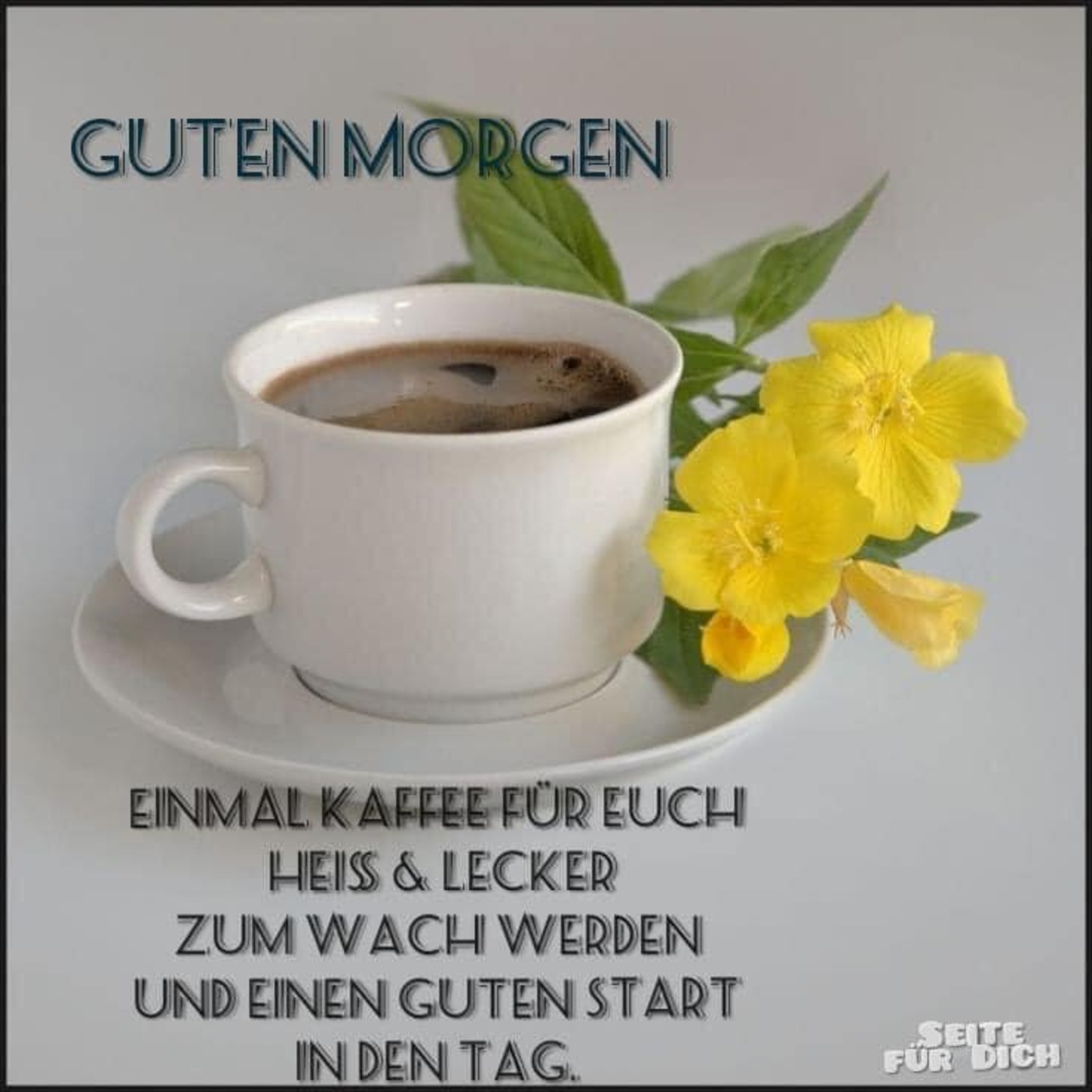 Guten Morgen einmal kaffee für euch heiss & lecker zum wach werren